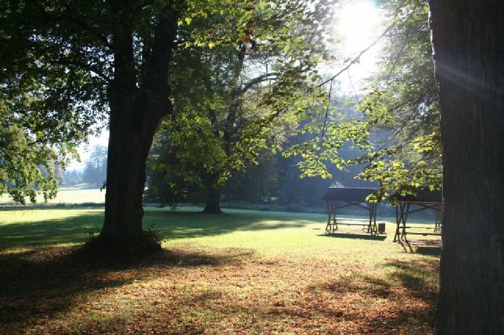 Parkführung Parkführung