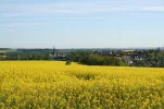 Waldenburg Waldenburg