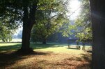 Parkführung Parkführung