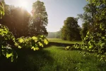 im Grünfelder Park im Grünfelder Park