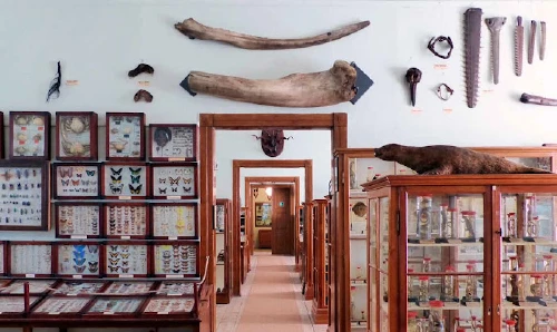 Museum