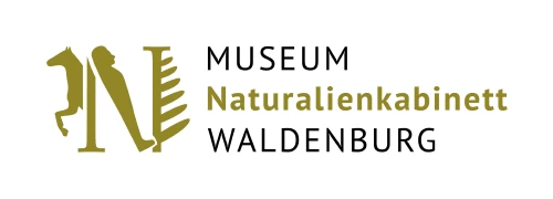 Logo Museum